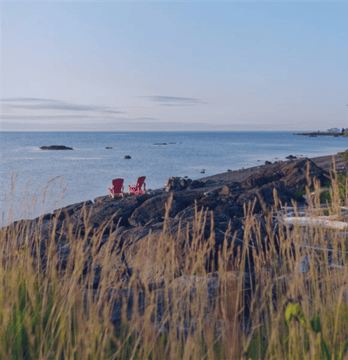 Flip card (348x360)-2-1