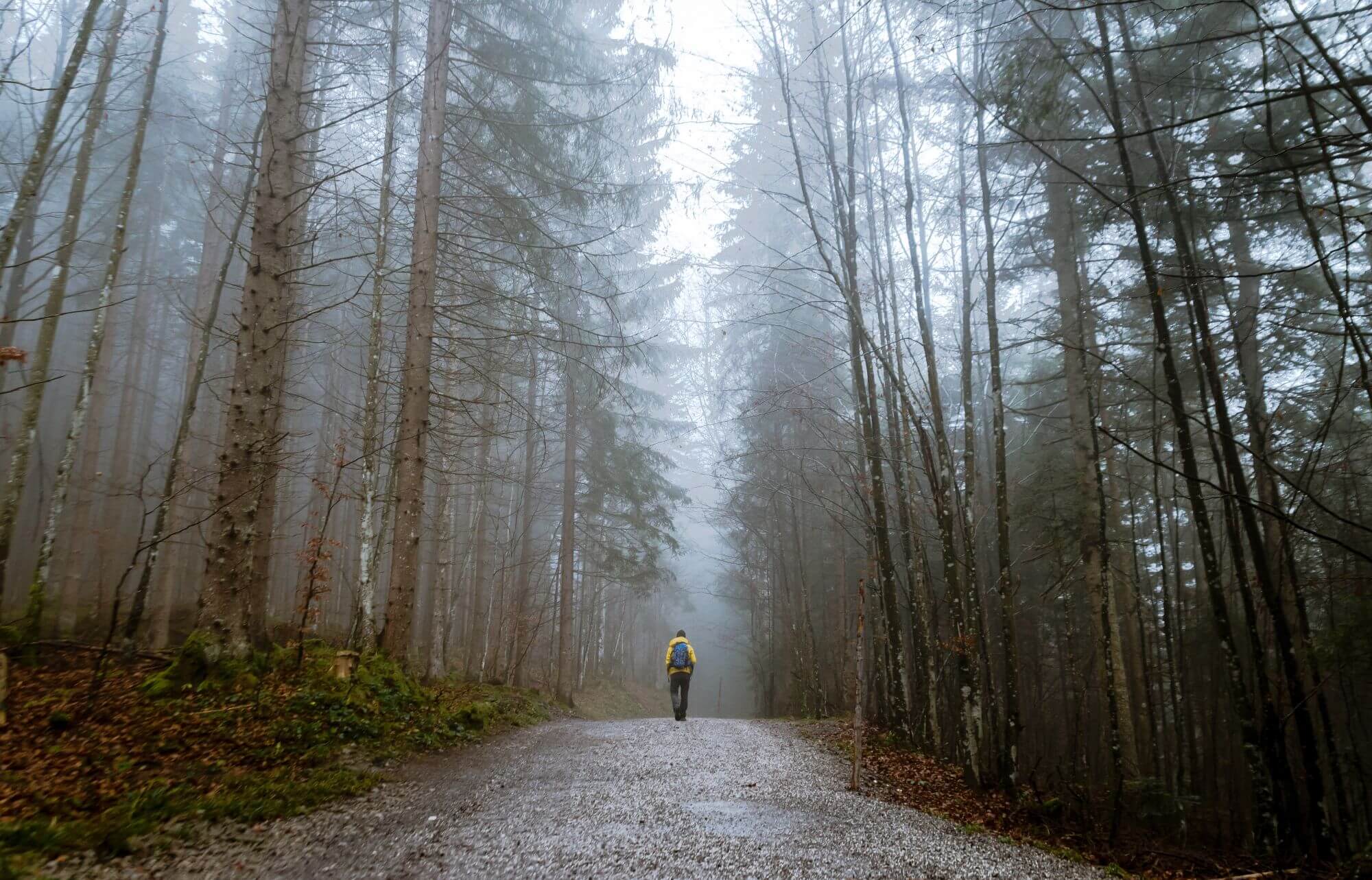 Acces-a-la-nature-en-Abitibi